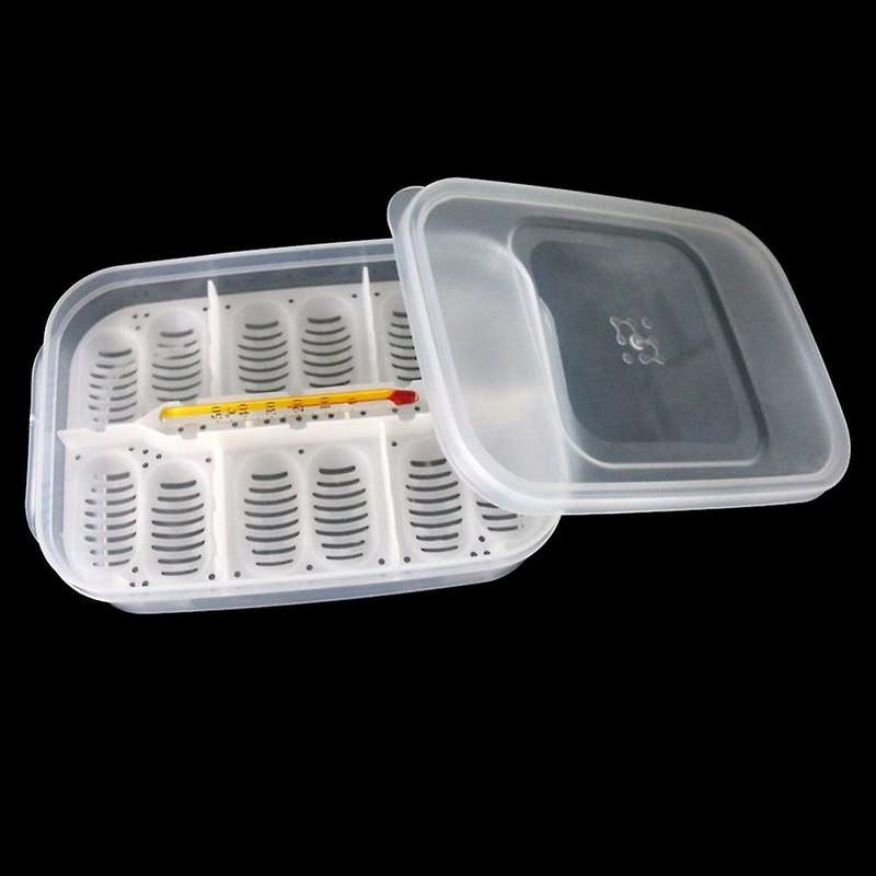 Noodle Spaghetti Material Pasta Holder Stand Cooking Tools Gadget