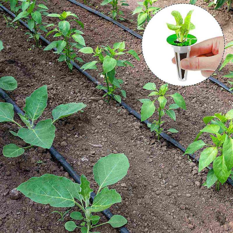 Plant Pod Kit Including Grow Baskets, Transparent Insulation Lids