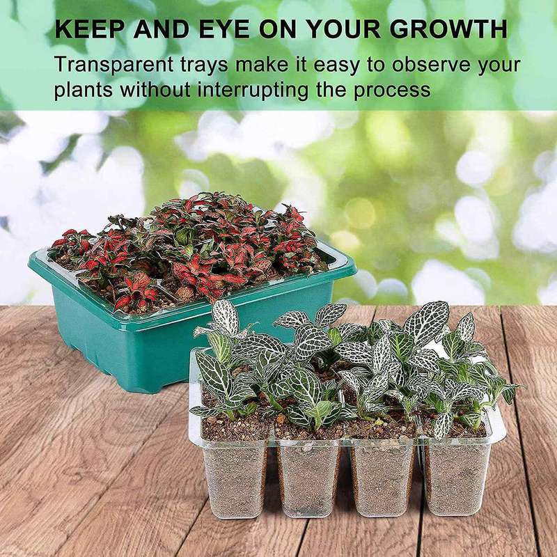 10 Packs Seed Starter Trays with Dome and Base Greenhouse Grow Trays