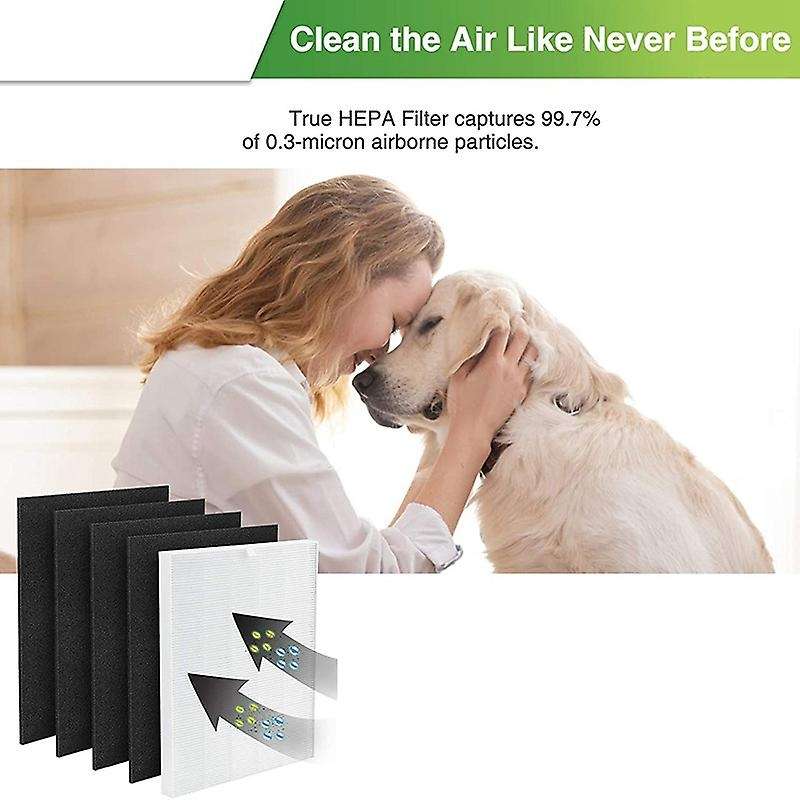 C545 True Hepa Replacement Filters for Winix C545 Air Purifier