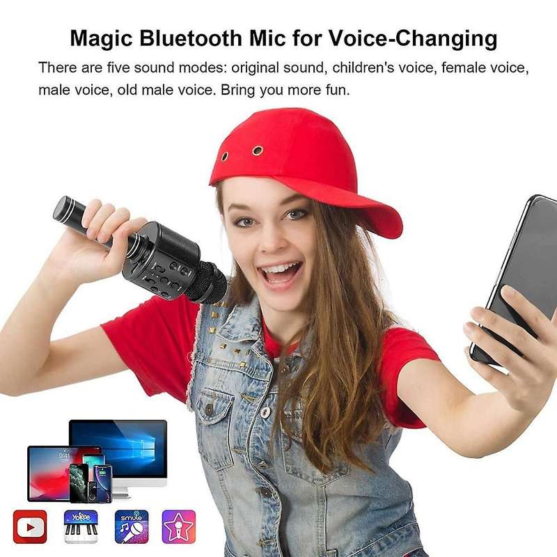 2 Pack Wireless Bluetooth Karaoke Microphone for Kids, Portable