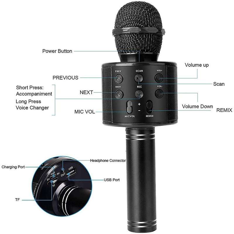 2 Pack Wireless Bluetooth Karaoke Microphone for Kids, Portable