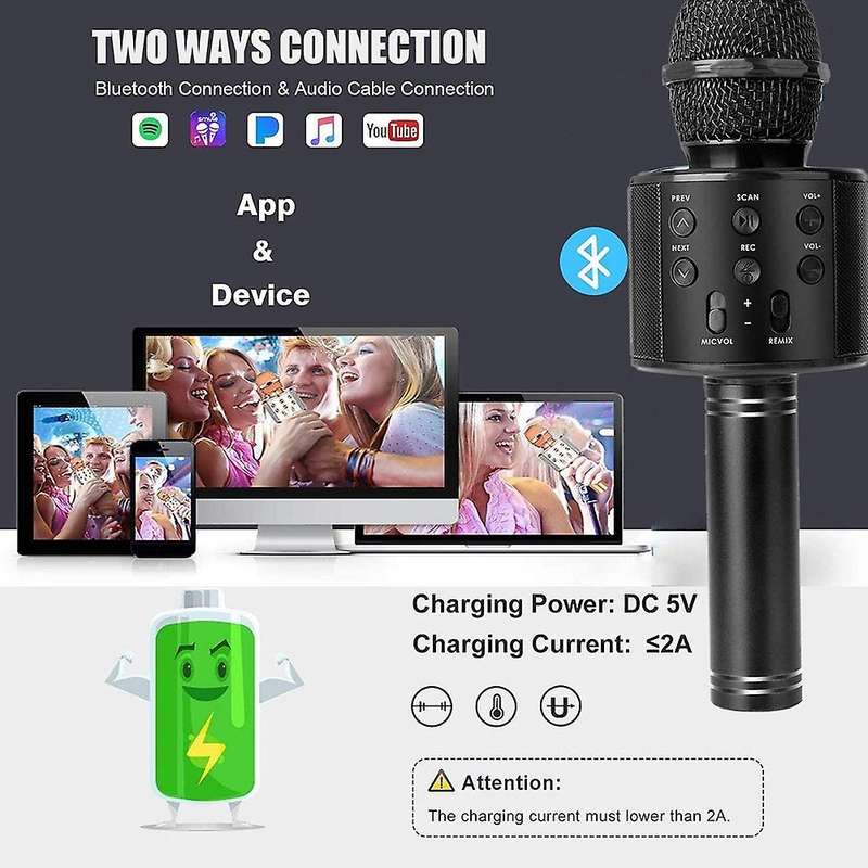 2 Pack Wireless Bluetooth Karaoke Microphone for Kids, Portable