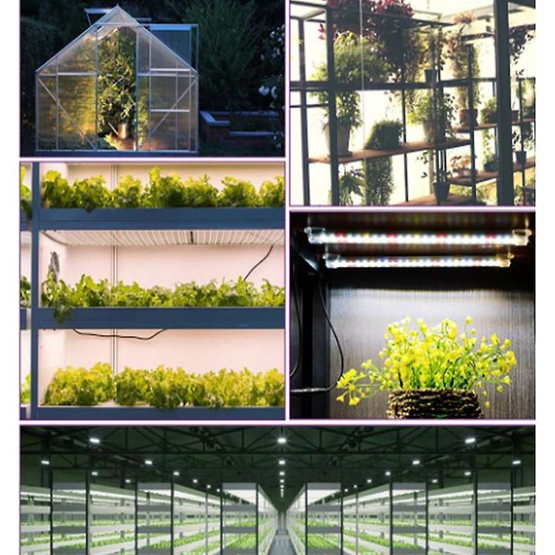 20w Plant Light 12v with Controller Full Spectrum Phyto Lamp Eu Plug
