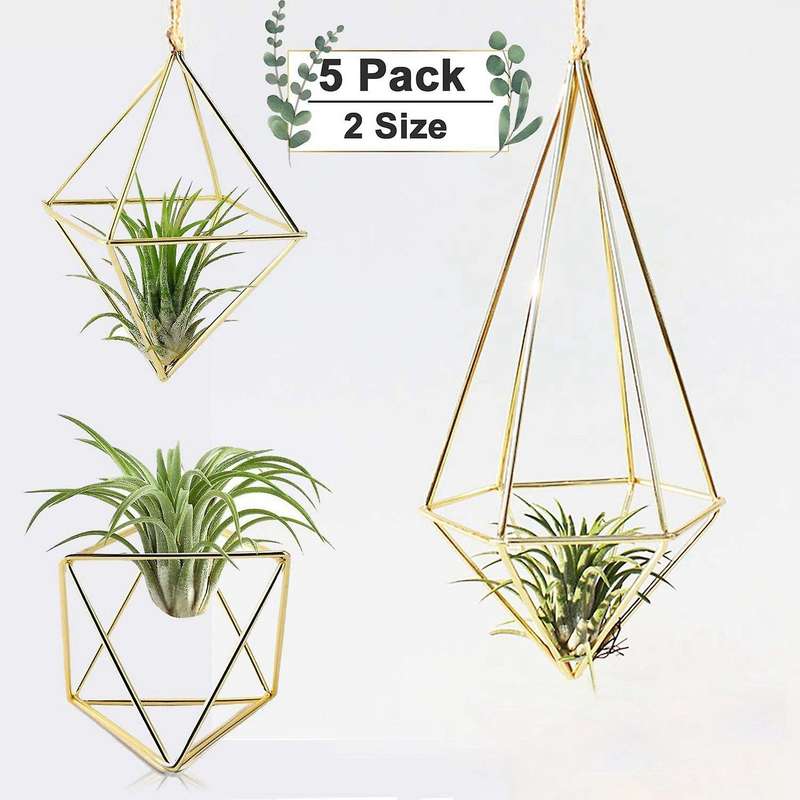 5 Packs Air Plant Holder Mini Metal Tabletop Himmeli Decor Tillandsia