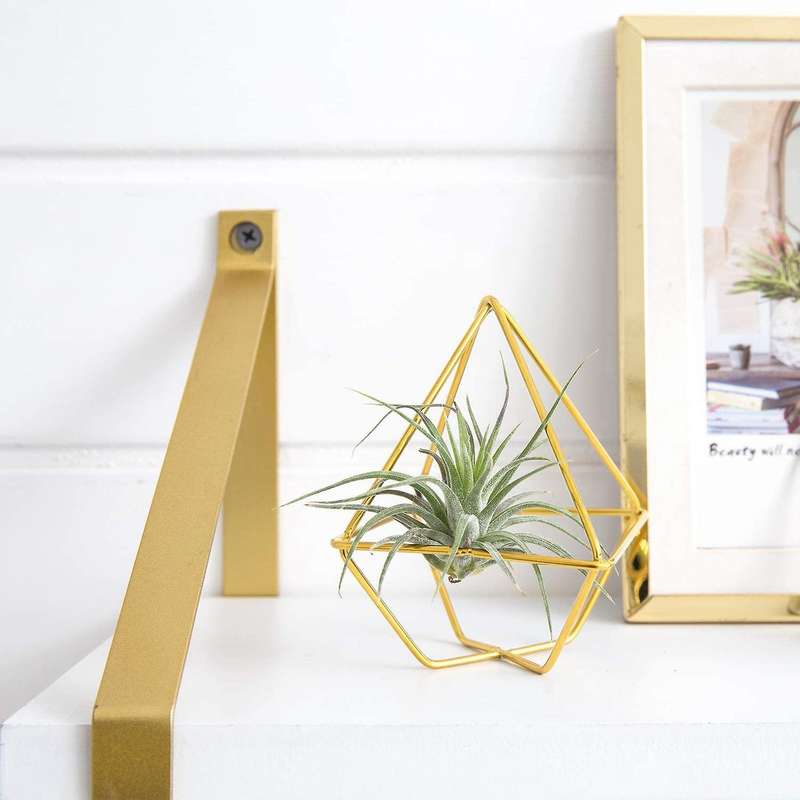 5 Packs Air Plant Holder Mini Metal Tabletop Himmeli Decor Tillandsia