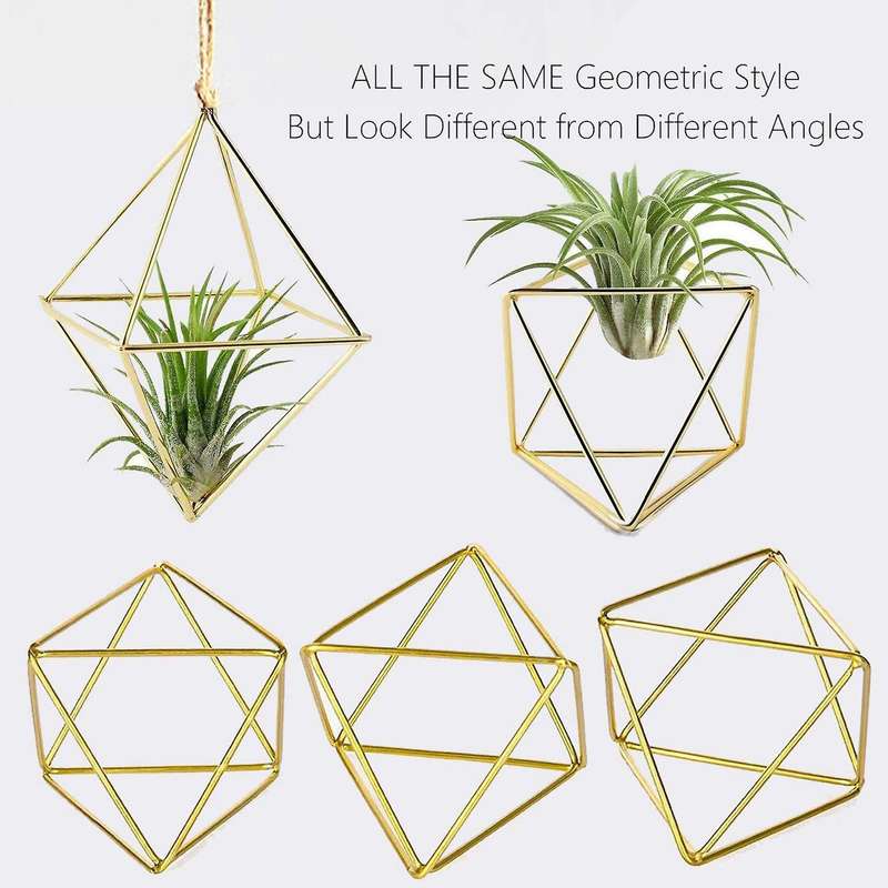5 Packs Air Plant Holder Mini Metal Tabletop Himmeli Decor Tillandsia