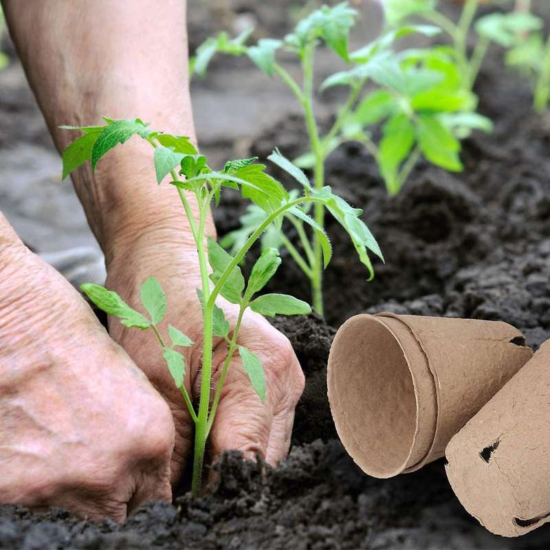 120 Pcs 3.15 Inch Seed Starting Pots with Drainage Holes Nursery Pot