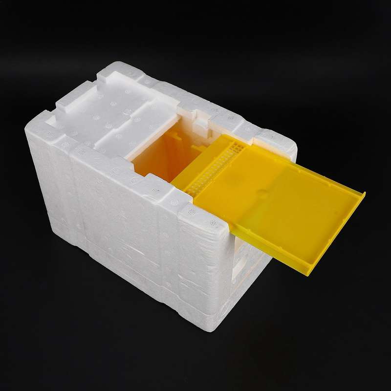 Bee Hive Beekeeping King Box Pollination Box Foam Frames Tool Kit