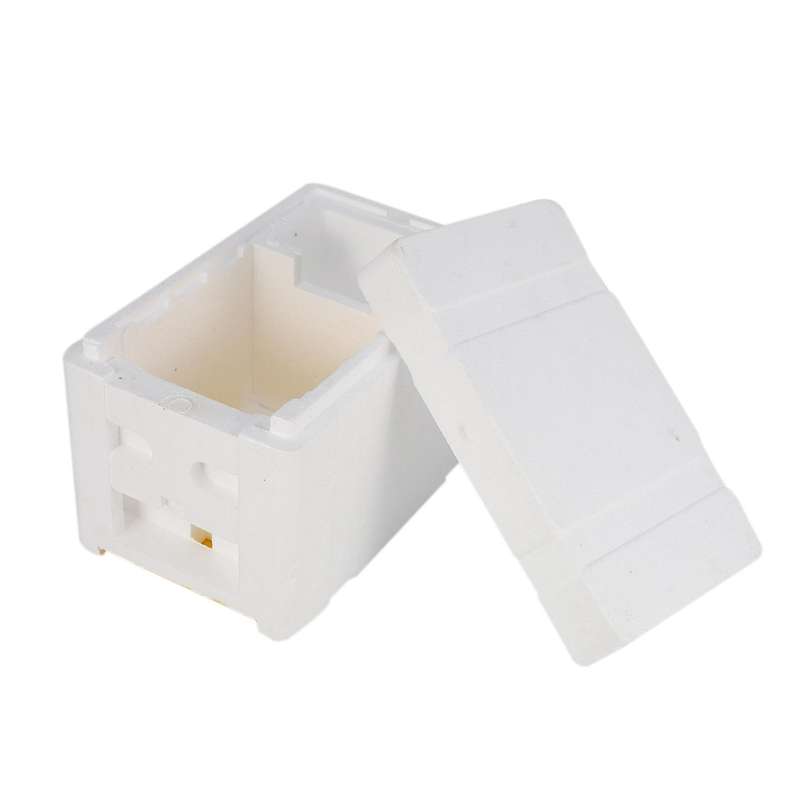 Bee Hive Beekeeping King Box Pollination Box Foam Frames Tool Kit