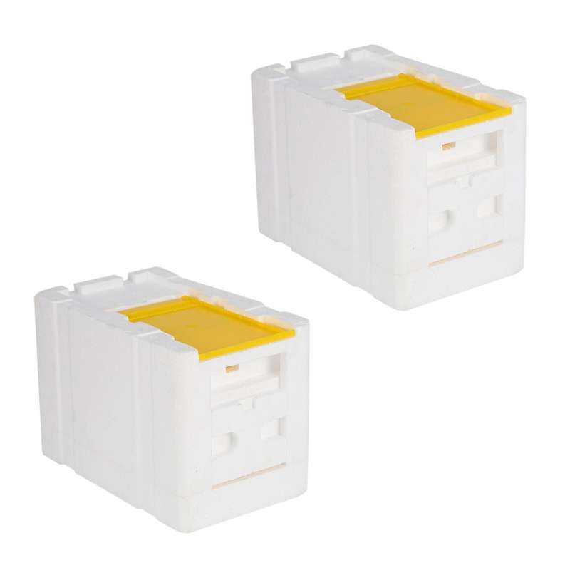 Bee Hive Beekeeping King Box Pollination Box Foam Frames Tool Kit