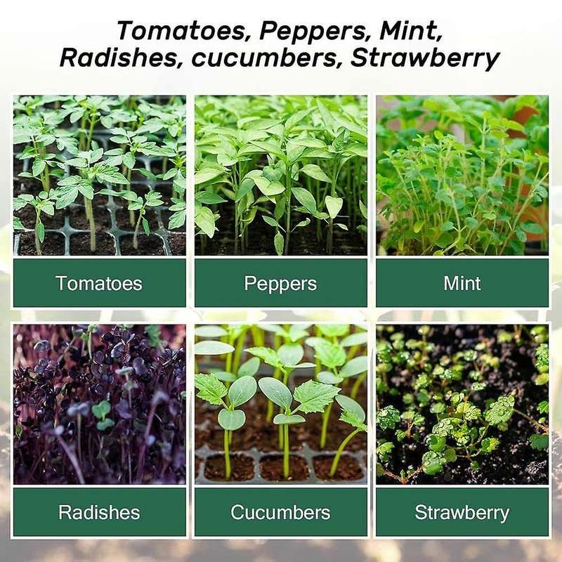 120 Cells Propagator Growing Thicken Seedling Starter Growing Trays