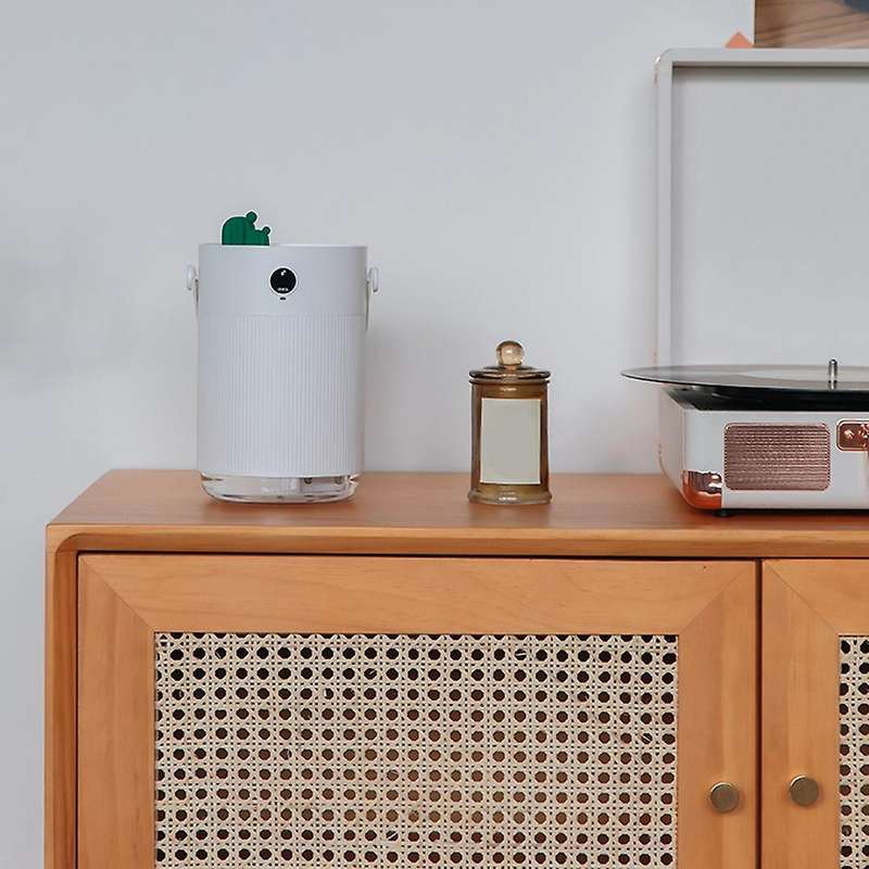 Air Diffuser Cactus Humidifier Usb Purifier 1000ml for Bedroom, Green