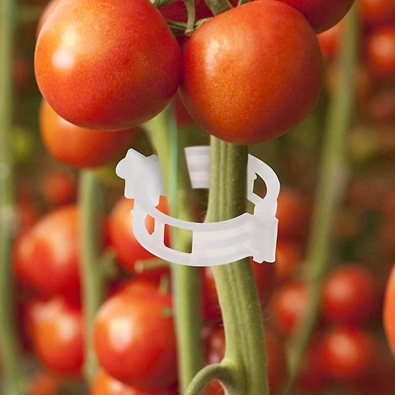 20 Pcs Tomato Support Hooks- with 39ft Twine + 40pcs Clips Plant