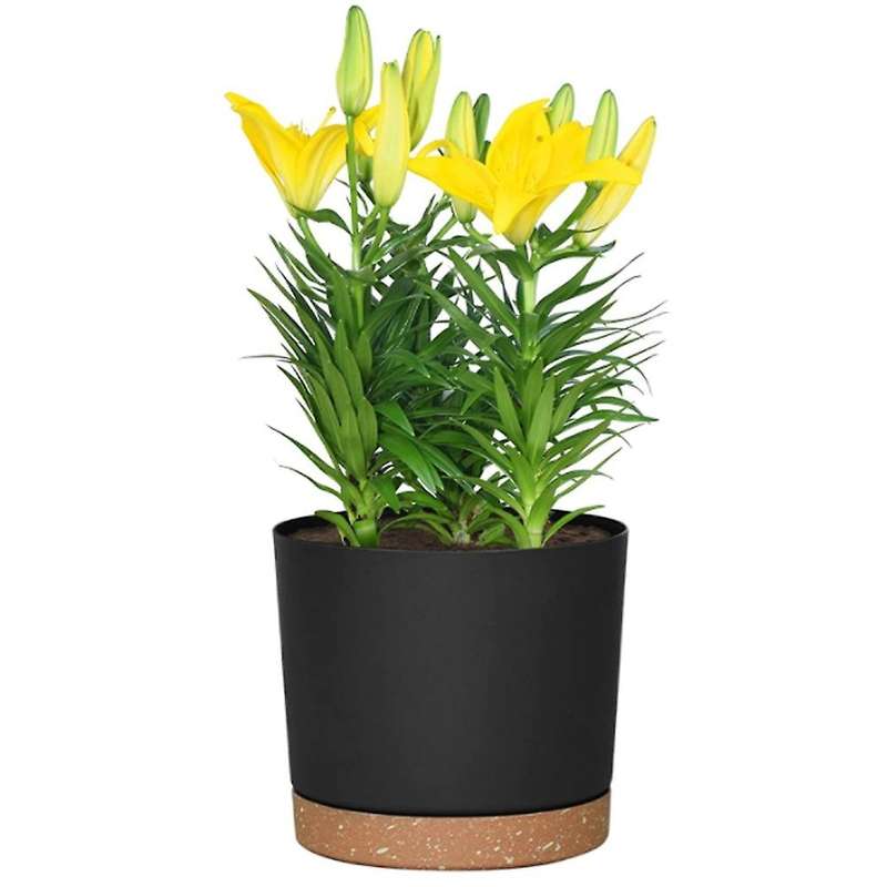 Diameter 16.5 Cm Flower Pots, Set Of 6, Self-watering Plastic Planter