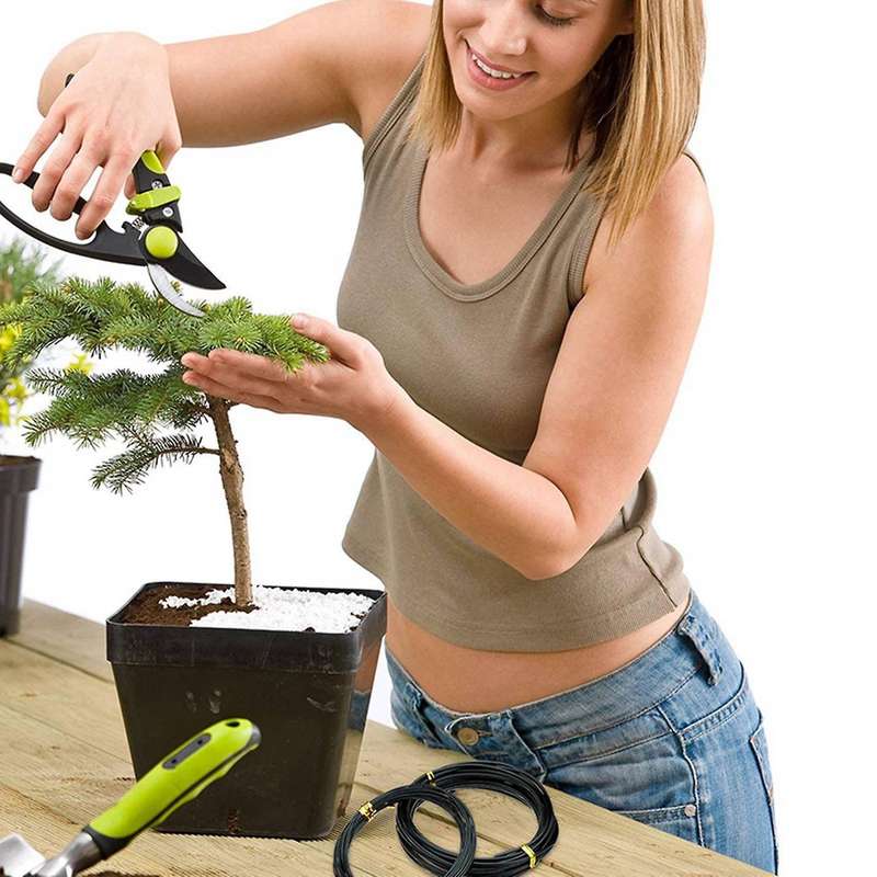 10 Rolls Anodized Aluminum Bonsai Training Wire In 5 Sizes - Black