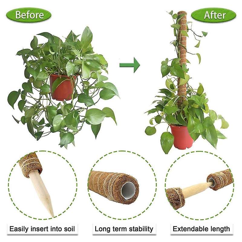 Coir Moss Poles for Climbing Plants,6 Pack 15.7 Inch Coco Totem Plant