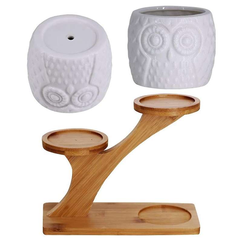 3 Pieces Of Owl Succulent Flower Pot with 3-layer Bamboo Dish Holder