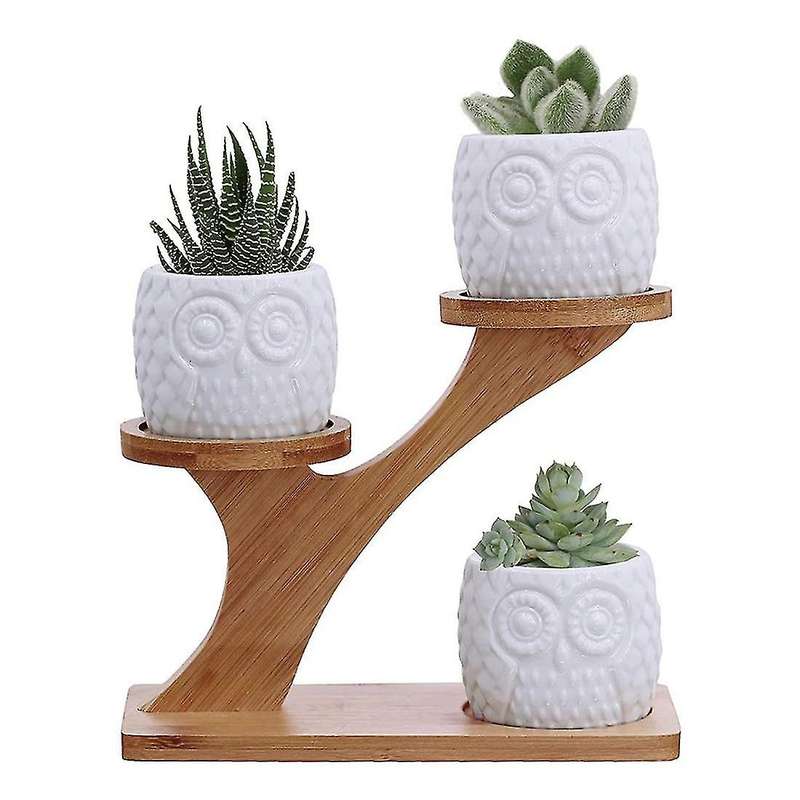 3 Pieces Of Owl Succulent Flower Pot with 3-layer Bamboo Dish Holder