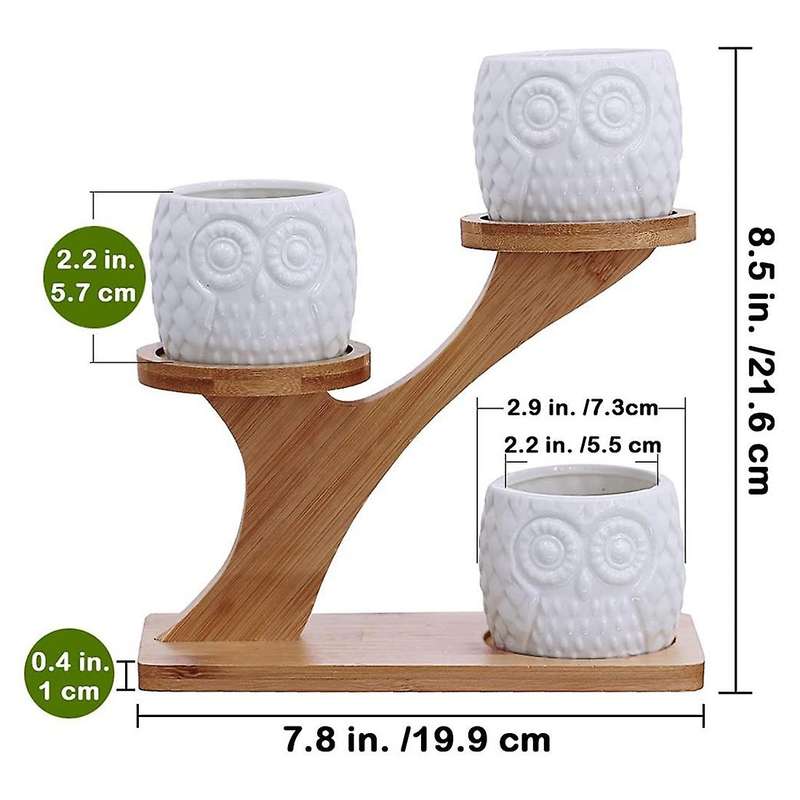 3 Pieces Of Owl Succulent Flower Pot with 3-layer Bamboo Dish Holder