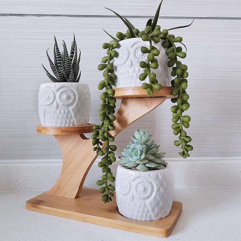 3 Pieces Of Owl Succulent Flower Pot with 3-layer Bamboo Dish Holder