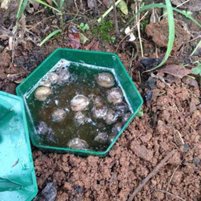 8 Pieces Beer Snail Traps Catcher, Safe for Kids and Pets
