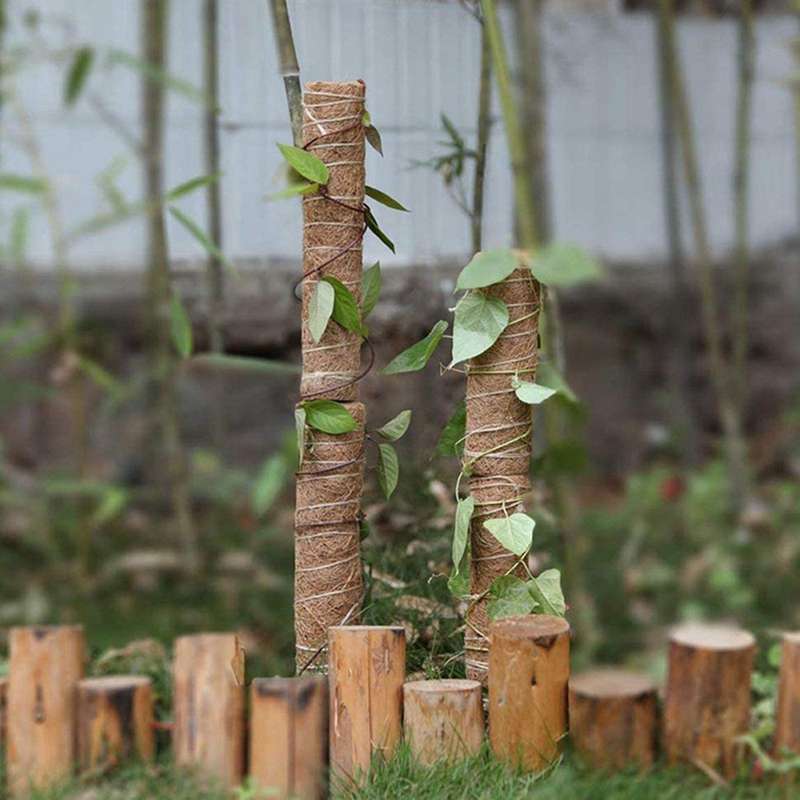 5 Packs Of Coconut Shell Totem Poles-coconut Shell Moss Sticks