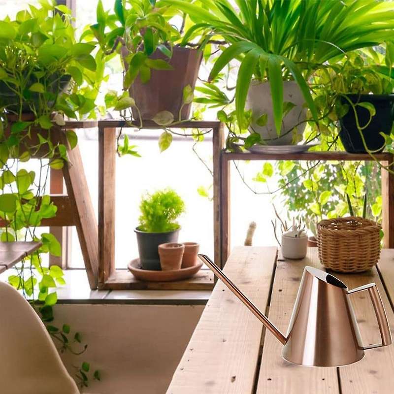 50 Oz/1500 Ml Stainless Steel Watering Can Pot for House Plants