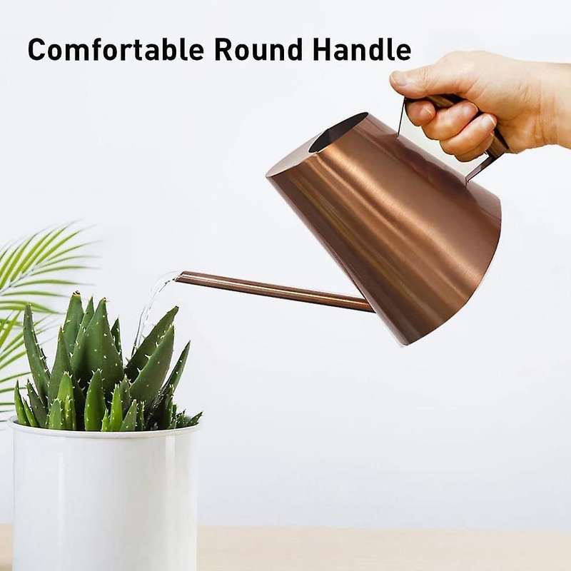 50 Oz/1500 Ml Stainless Steel Watering Can Pot for House Plants