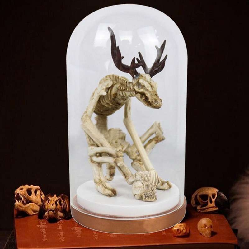 Wendigo Skeleton Fossil Simulation Skull Model Glass Cover Home Decor