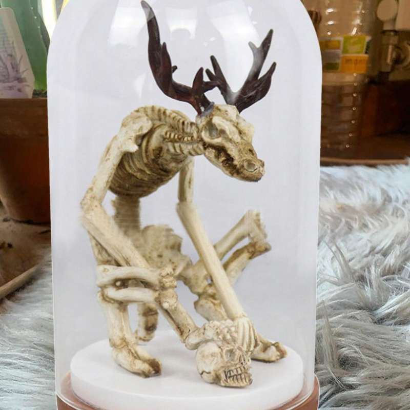 Wendigo Skeleton Fossil Simulation Skull Model Glass Cover Home Decor