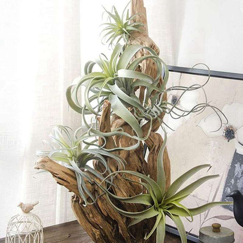 4 Pack Artificial Pineapple Grass Air Plants Fake Flocking Home Decor