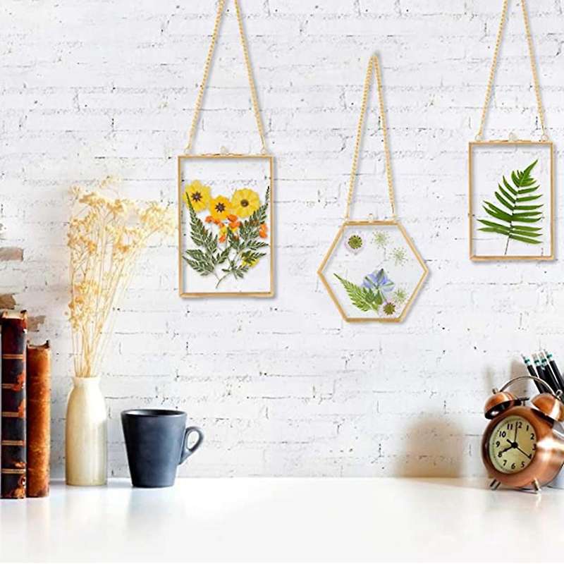 3 Packs Pressed Flowers Glass Frames- Diy Artwork Display Frames