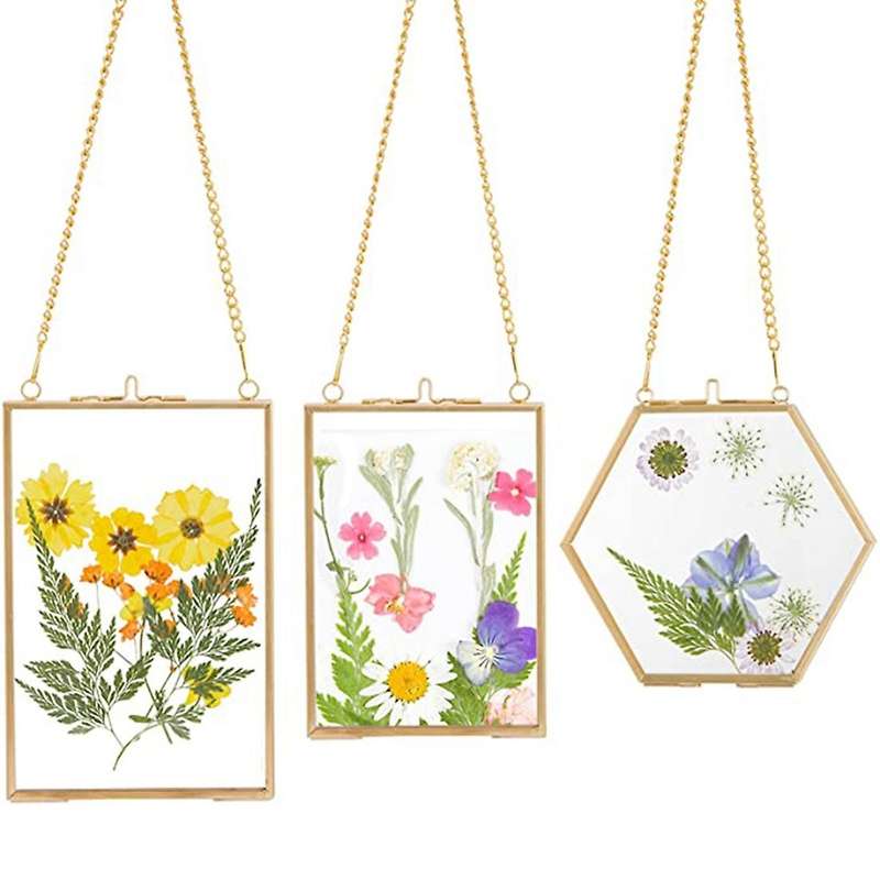 3 Packs Pressed Flowers Glass Frames- Diy Artwork Display Frames