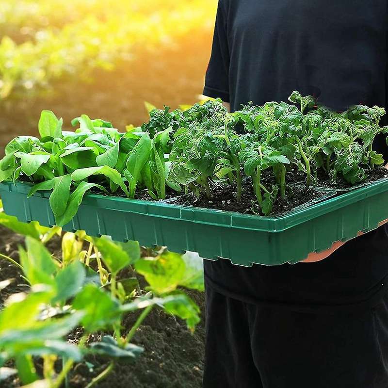 Greenhouse Seed Starter Seedling Trays Flower Plant Germination Black