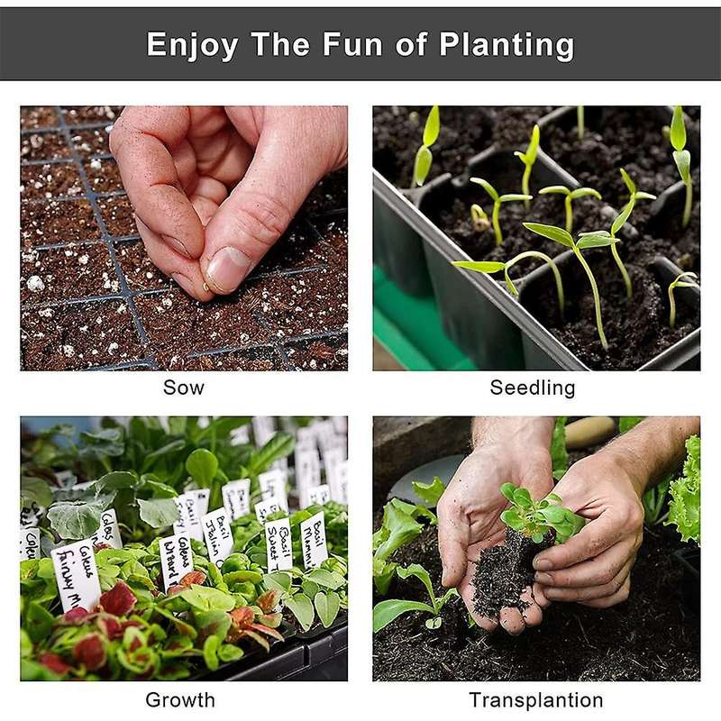 Greenhouse Seed Starter Seedling Trays Flower Plant Germination Green