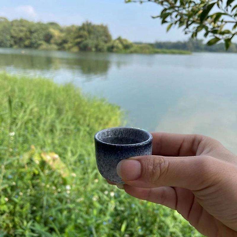 1 Set Japanese Style Ceramics Sake Cup Sake Pot Retro Sake Set