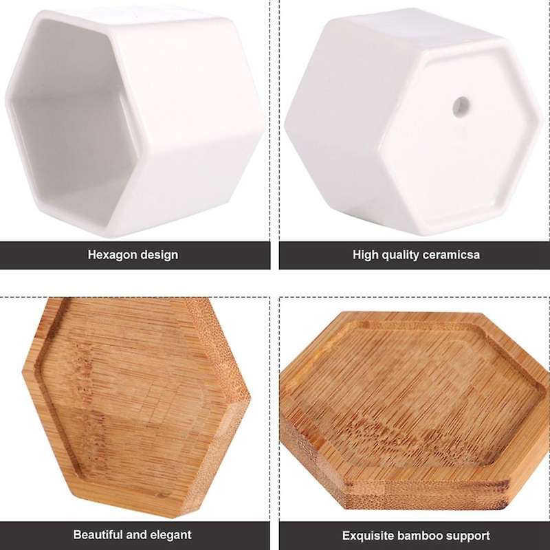 Simple White Creative Ceramic Small Hexagonal Plant Succulent