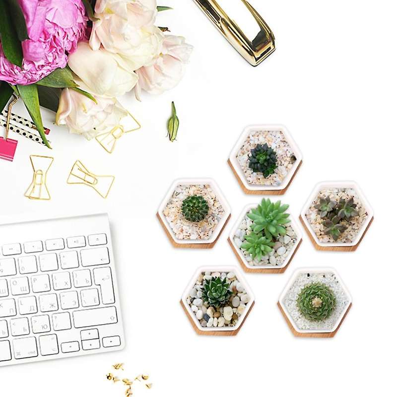 Simple White Creative Ceramic Small Hexagonal Plant Succulent