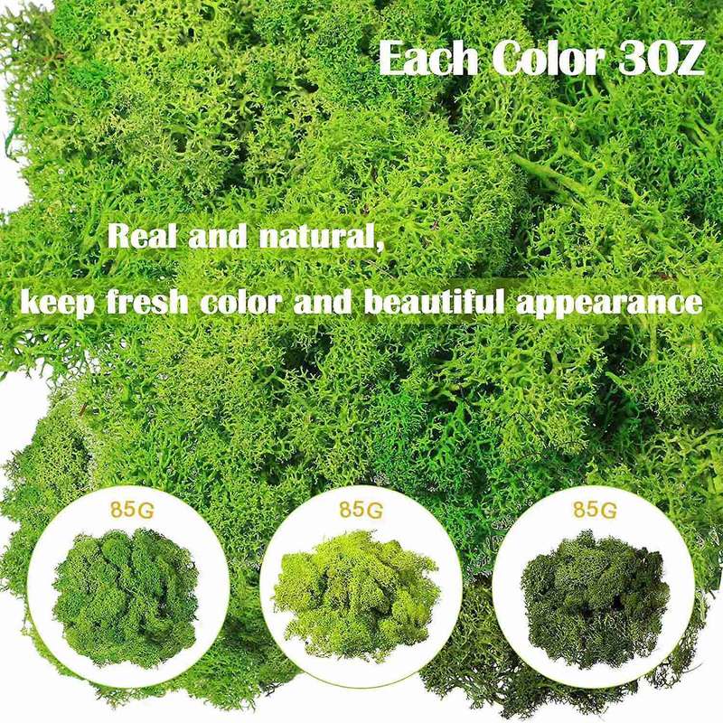 300g Moss Green Immortal Artificial Decorative Moss 3-color Mixed,b