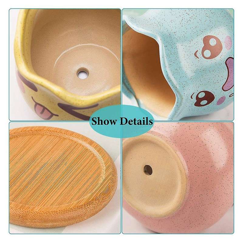 4pc Succulent Plant Pot,ceramic Cactus Plant Pot Flower Pot with Tray