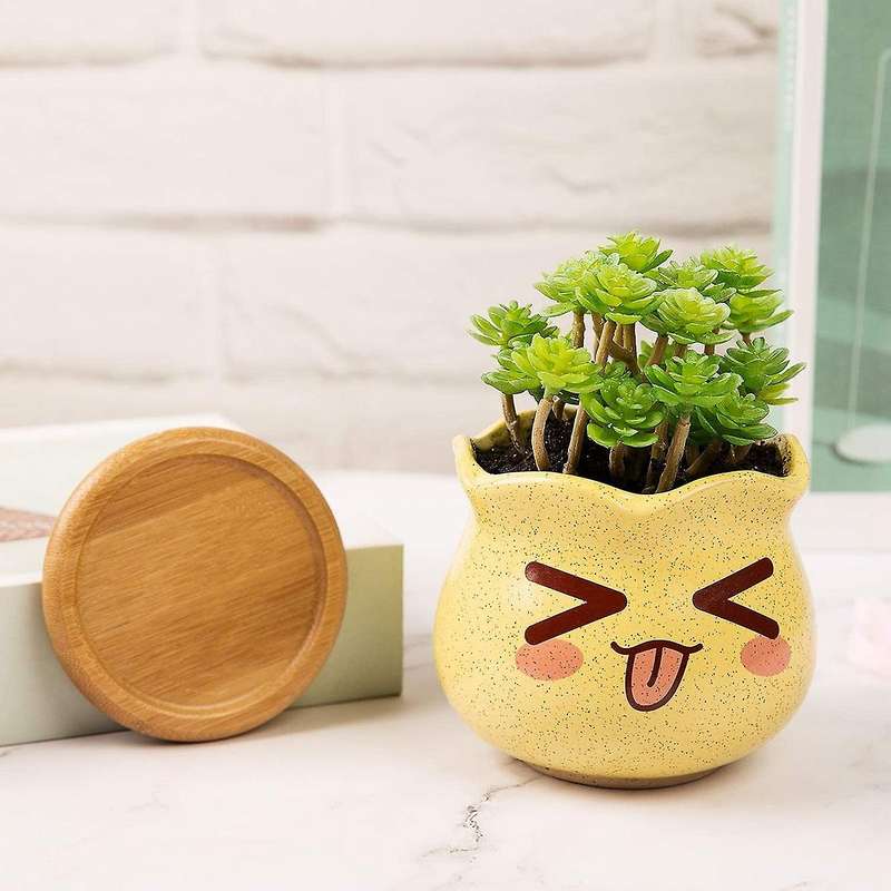 4pc Succulent Plant Pot,ceramic Cactus Plant Pot Flower Pot with Tray