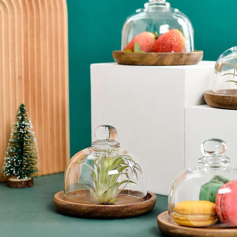 Multifunctional Mini Dessert Serving Stand Acacia Cake Dish
