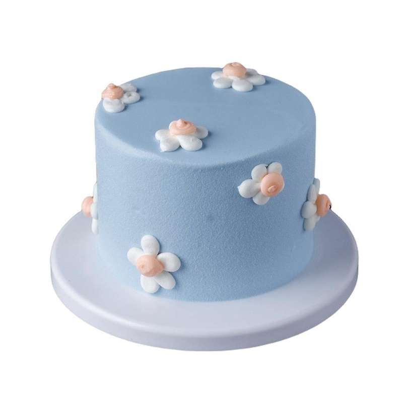 6inch Silicone Cake Model Embryo Birthday Cake Window Display (d)