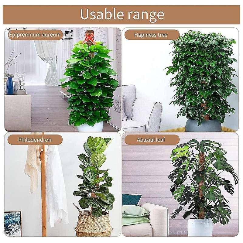 Moss Rod Spiral Totem Plant Support for Climbing Plants Monstera