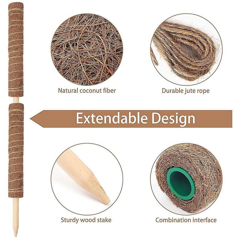 Moss Rod Spiral Totem Plant Support for Climbing Plants Monstera