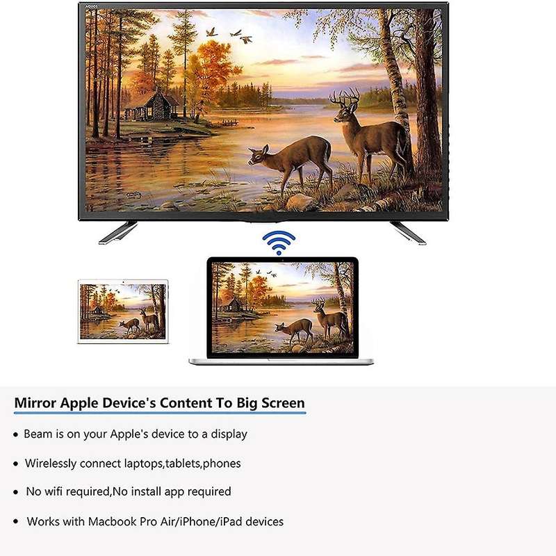 Wireless Hdmi-compatible Display Adapter, for Meeting/home Theater