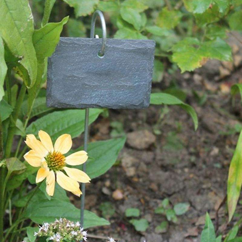 10pcs Plant Label Garden Markers Signs Weatherproof On for Planters