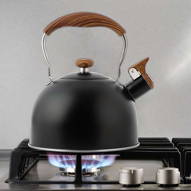 Whistling Kettle 2.5l for Gas Stove Induction Cooker - Green