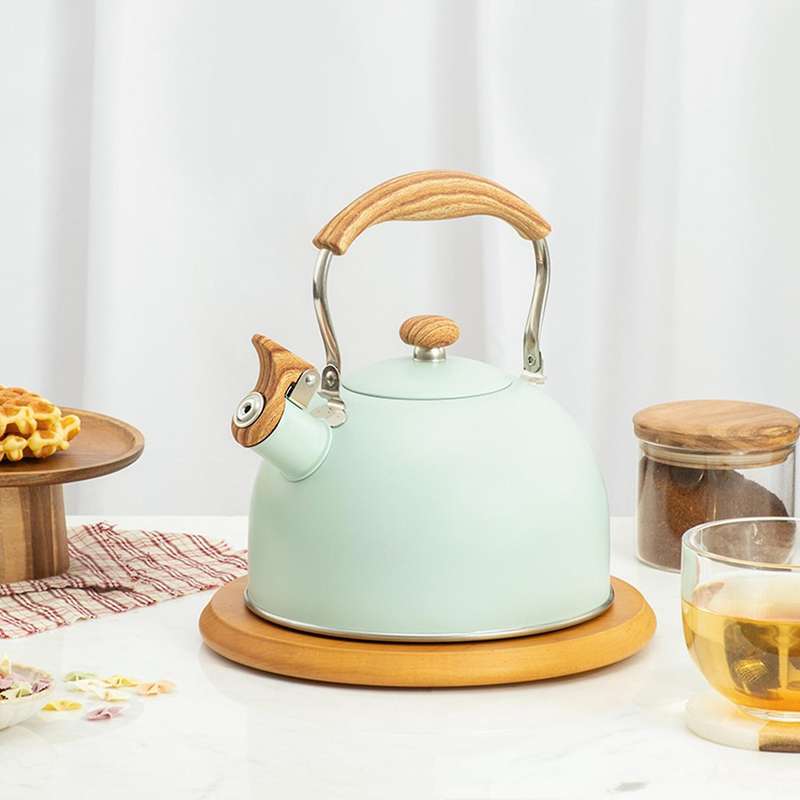 Whistling Kettle 2.5l for Gas Stove Induction Cooker - Green